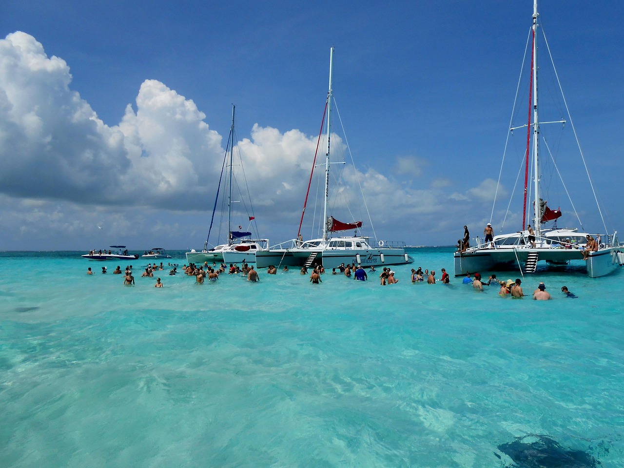 grand cayman, cayman islands, stingray city, stingrays, caribbean, island, vacation, scenic, cayman, nature, blue, travel, ocean, blue island