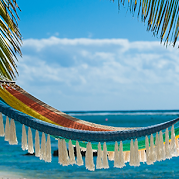 unnamed (1)-1-1-square